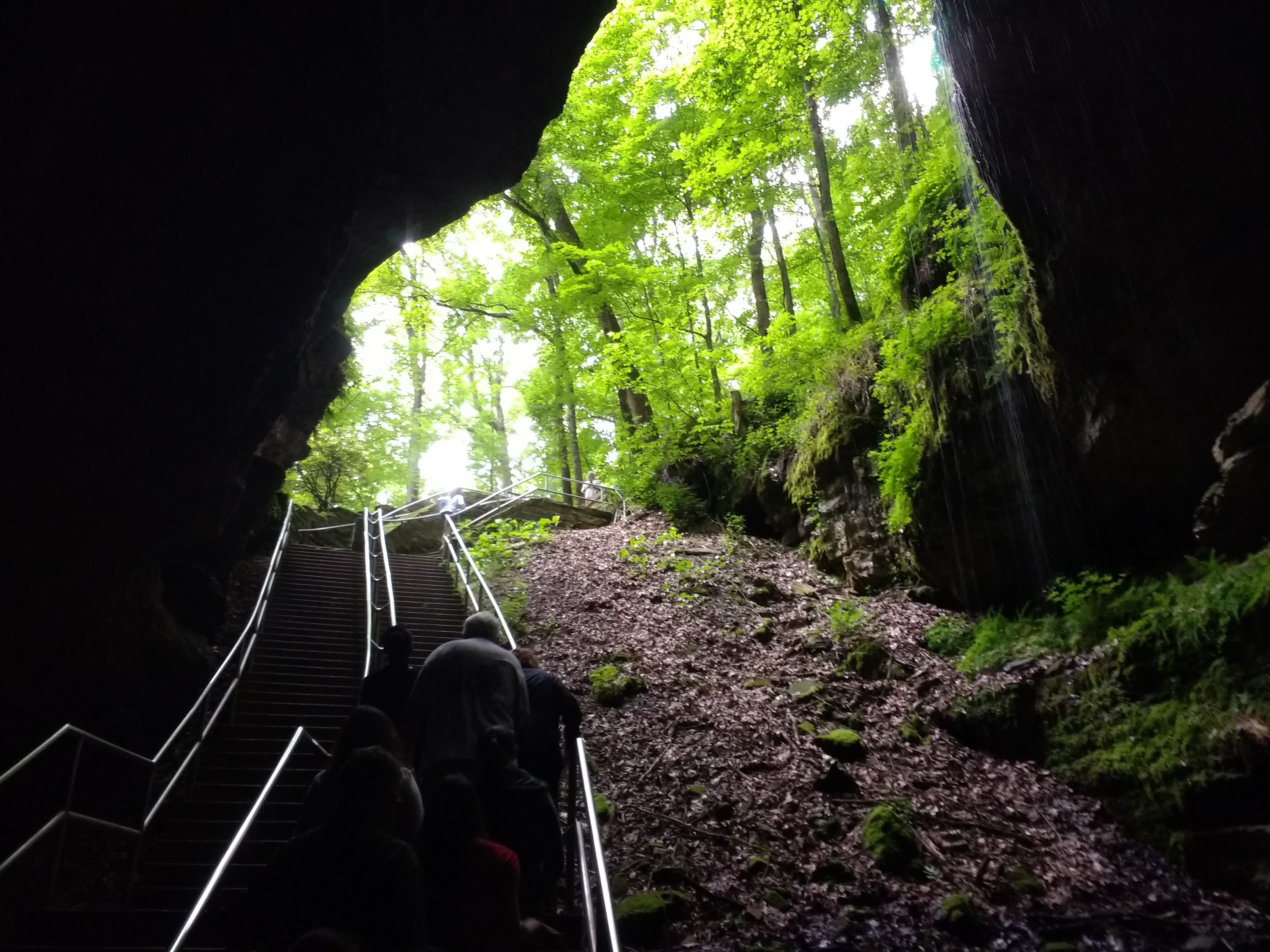 Mouth of Mamoth Cave in Bowling Green KY