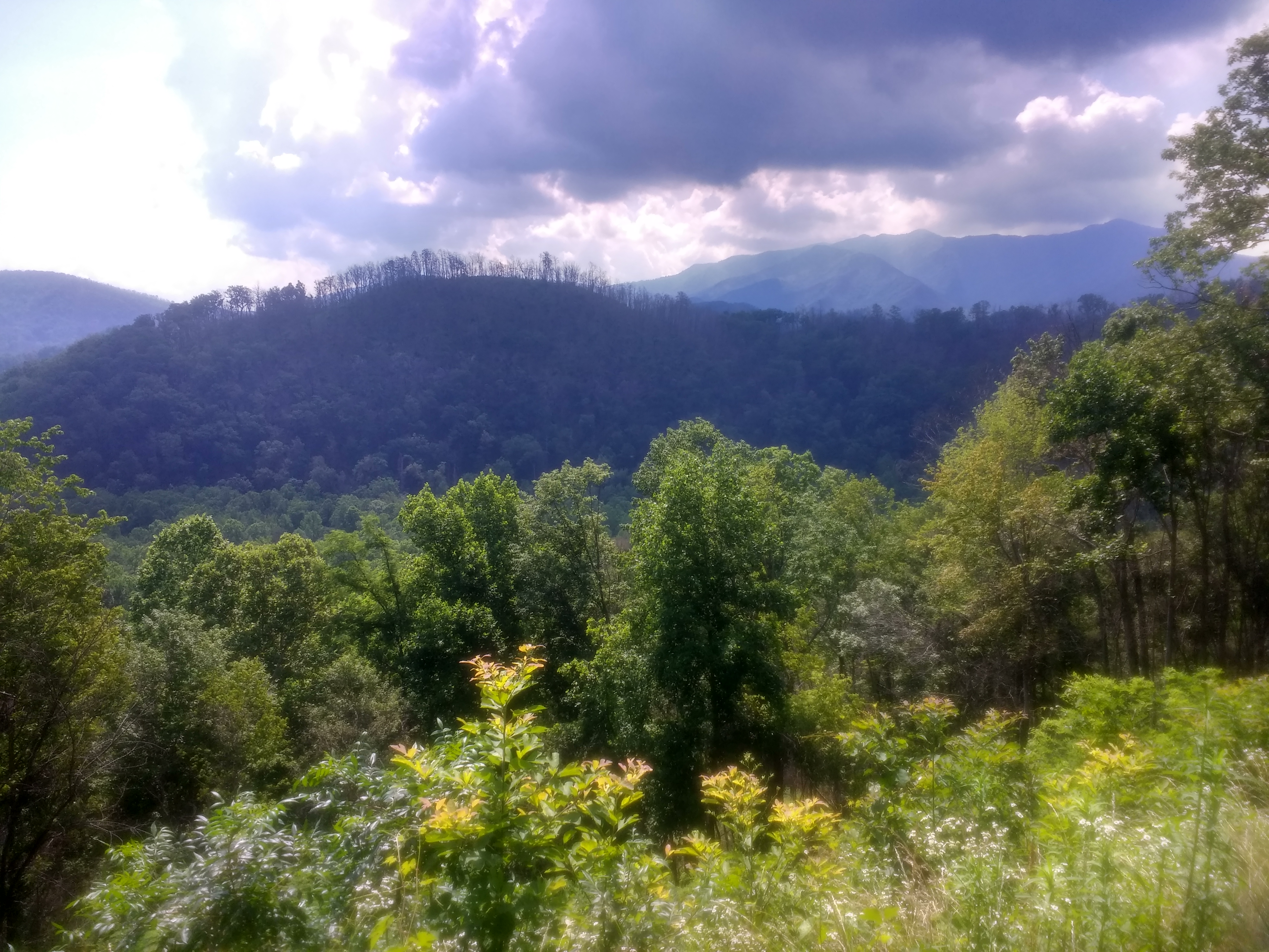 The Great Smokie Mountains